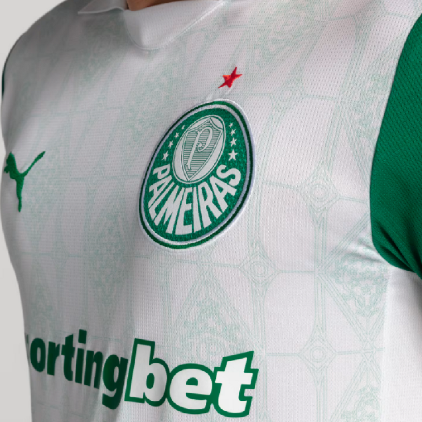 Palmeiras 2025-26 Away Jersey